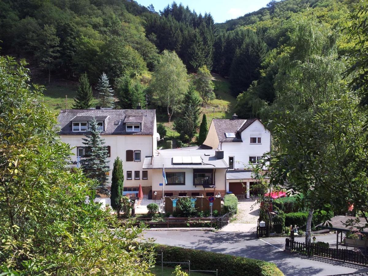 Ferien Und Selbstversorgerhaus Fuer Gruppen Sauerthaler Hof - Loreley Exteriér fotografie